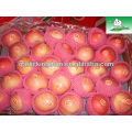 Red apple/ Price for fresh apple/Cheap apple fruit